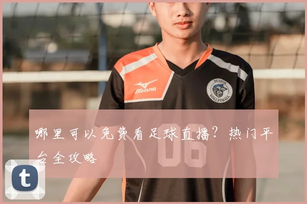 哪里可以免费看足球直播?热门平台全攻略